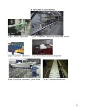 Lentpjūvėje naudojamų transporterių analizė 11 puslapis