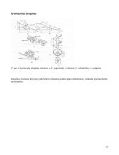 Lentpjūvėje naudojamų transporterių analizė 10 puslapis