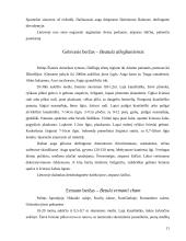 Lietuvos beržai 11 puslapis