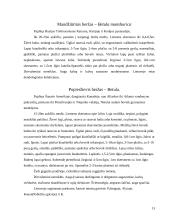 Lietuvos beržai 13 puslapis