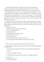 Maitinimo įmonės projektavimas: 40 vietų salotų baras Kaune 11 puslapis