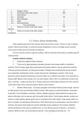 Maitinimo įmonės projektavimas: 40 vietų salotų baras Kaune 13 puslapis