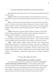 Maitinimo įmonės projektavimas: 40 vietų salotų baras Kaune 18 puslapis