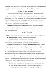 Maitinimo įmonės projektavimas: 40 vietų salotų baras Kaune 19 puslapis