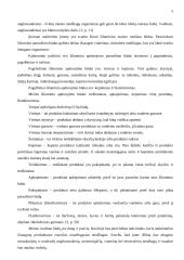 Maitinimo įmonės projektavimas: 40 vietų salotų baras Kaune 5 puslapis