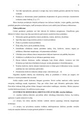 Maitinimo įmonės projektavimas: 40 vietų salotų baras Kaune 8 puslapis