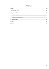 Mandagumo raiška ir kalbos kultūra lietuvių kalboje 2 puslapis