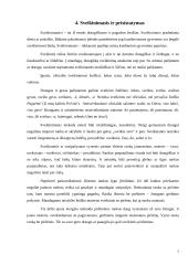 Mandagumo raiška ir kalbos kultūra lietuvių kalboje 7 puslapis