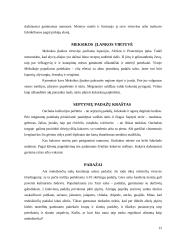 Meksikiečių virtuvė 11 puslapis