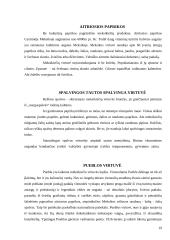 Meksikiečių virtuvė 18 puslapis