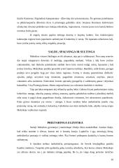 Meksikiečių virtuvė 19 puslapis