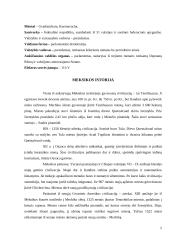 Meksikiečių virtuvė 4 puslapis