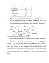 Cheminiai mikroelementai 16 puslapis