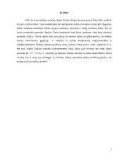 Cheminiai mikroelementai 2 puslapis