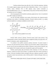 Cheminiai mikroelementai 9 puslapis