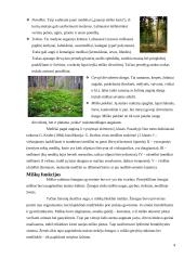 Miškų naudojimas 4 puslapis