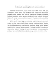 Mitozės reguliavimo molekuliniai mechanizmai 13 puslapis