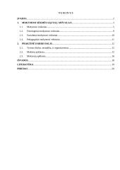 Mokymosi sėkmės sąlygų apžvalga