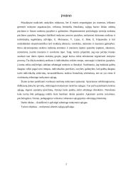 Mokymosi sėkmės sąlygų apžvalga 2 puslapis