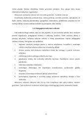 Mokymosi sėkmės sąlygų apžvalga 11 puslapis