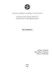 Multimedijų plėtra