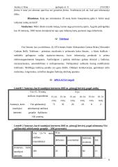 Multimedijų plėtra 9 puslapis