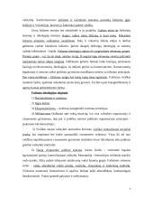 Nacionalizmo ideologija 4 puslapis