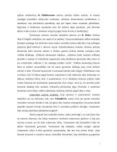 Nacionalizmo ideologija 7 puslapis