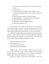 Nenoras mokytis 6 puslapis