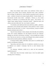 Nenoras mokytis 8 puslapis