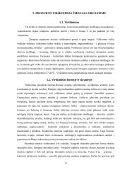 Obuolių savybės 11 puslapis