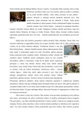 Filmo “Geišos išpažintis“ analizė 5 puslapis