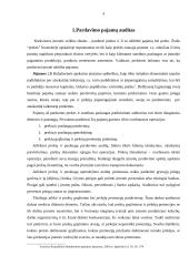 Pajamų auditas 2 puslapis