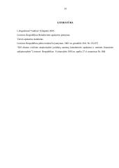 Pajamų auditas 12 puslapis