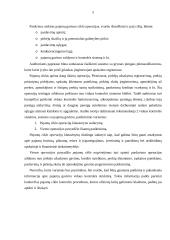 Pajamų auditas 3 puslapis