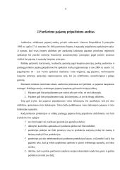 Pajamų auditas 4 puslapis