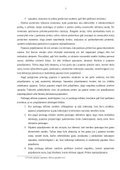 Pajamų auditas 5 puslapis