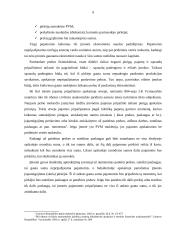 Pajamų auditas 7 puslapis