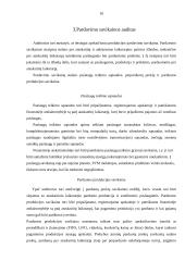 Pajamų auditas 8 puslapis