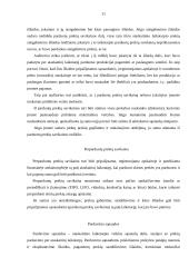 Pajamų auditas 9 puslapis