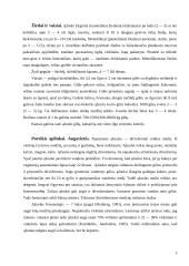 Paprastasis ąžuolas ir paprastasis lazdynas 5 puslapis