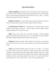 Paprastasis ąžuolas ir paprastasis lazdynas 8 puslapis