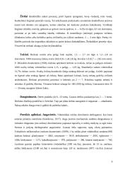 Paprastasis ąžuolas ir paprastasis lazdynas 9 puslapis