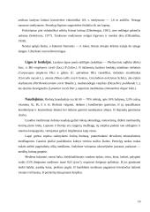 Paprastasis ąžuolas ir paprastasis lazdynas 10 puslapis