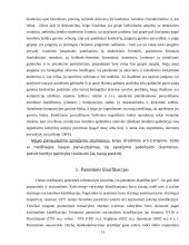 Patentinės informacijos dokumentų struktūra. Patentinės klasifikacijos 13 puslapis