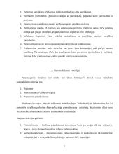 Patentinės informacijos dokumentų struktūra. Patentinės klasifikacijos 6 puslapis