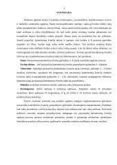 Pavasarinių kalendorinių švenčių galimybės 3-4 klasių muzikinio ugdymo procese 2 puslapis