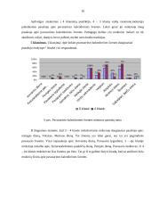 Pavasarinių kalendorinių švenčių galimybės 3-4 klasių muzikinio ugdymo procese 9 puslapis