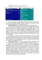 Pelno maksimizavimas