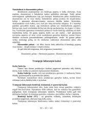 Pelno maksimizavimas 2 puslapis